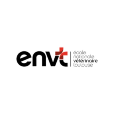 logo_envt